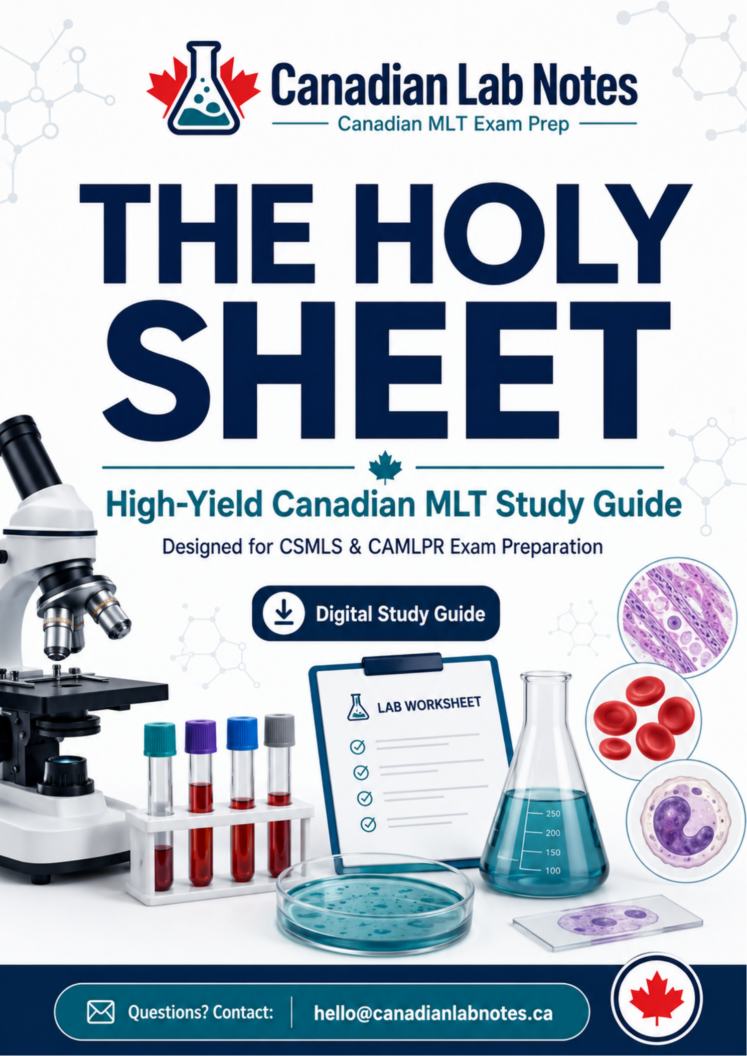 The Holy Sheet high-yield Canadian MLT study guide cover